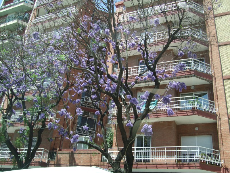 Anadalusien 2009 - 0618 